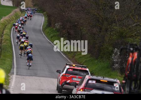 Cartoceto, Italia. 15 marzo 2025. Il branco cavalca durante la 60° Tirreno - Adriatico 2025, tappa 6 da Cartoceto a Frontignano (Ussita) - il 15 marzo 2025 a Cartoceto, Marche, Italia. (Foto di Fabio Ferrari/LaPresse) credito: LaPresse/Alamy Live News Foto Stock