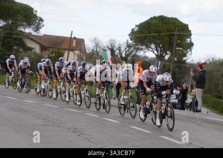 Cartoceto, Italia. 15 marzo 2025. Il branco cavalca durante la 60° Tirreno - Adriatico 2025, tappa 6 da Cartoceto a Frontignano (Ussita) - il 15 marzo 2025 a Cartoceto, Marche, Italia. (Foto di Fabio Ferrari/LaPresse) credito: LaPresse/Alamy Live News Foto Stock