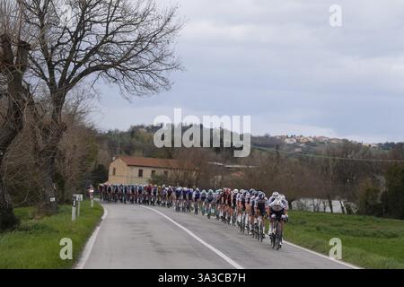 Cartoceto, Italia. 15 marzo 2025. Il branco cavalca durante la 60° Tirreno - Adriatico 2025, tappa 6 da Cartoceto a Frontignano (Ussita) - il 15 marzo 2025 a Cartoceto, Marche, Italia. (Foto di Fabio Ferrari/LaPresse) credito: LaPresse/Alamy Live News Foto Stock