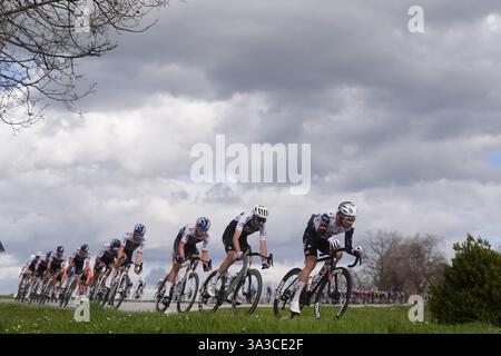 Cartoceto, Italia. 15 marzo 2025. Il branco cavalca durante la 60° Tirreno - Adriatico 2025, tappa 6 da Cartoceto a Frontignano (Ussita) - il 15 marzo 2025 a Cartoceto, Marche, Italia. (Foto di Fabio Ferrari/LaPresse) credito: LaPresse/Alamy Live News Foto Stock