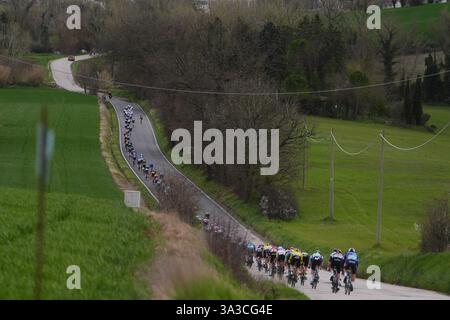 Cartoceto, Italia. 15 marzo 2025. Il branco cavalca durante la 60° Tirreno - Adriatico 2025, tappa 6 da Cartoceto a Frontignano (Ussita) - il 15 marzo 2025 a Cartoceto, Marche, Italia. (Foto di Fabio Ferrari/LaPresse) credito: LaPresse/Alamy Live News Foto Stock