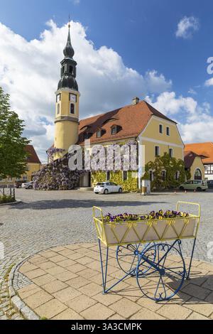 Municipio sulla piazza del mercato con la pioggia azzurra (Wisteria) in fiore, Weissenberg, Sassonia, Germania, Europa Foto Stock
