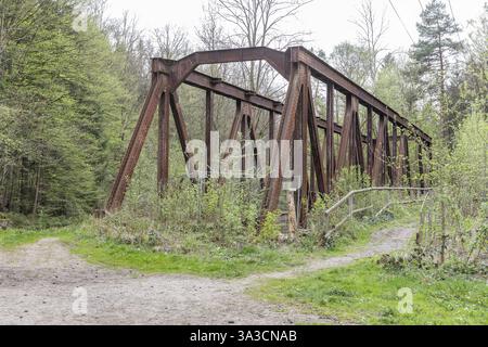 Ponte a capriata in acciaio, ex ponte ferroviario della ferrovia della valle di Gottleuba vicino a Langenhennersdorf, Bad Gottleuba-Berggiesshuebel, Sassonia, Germania, Euro Foto Stock