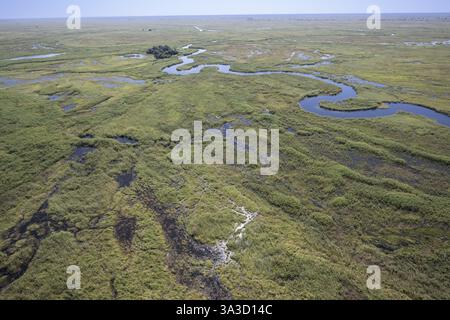 Okawango Delta Pan Style, corsi serpeggianti del fiume Okawango, vista aerea, Botswana, Africa Foto Stock