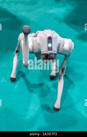 Cane robot militare grigio a una dimostrazione con sfondo verde Foto Stock