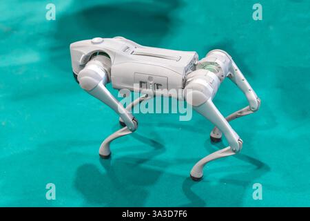 Cane robot militare grigio a una dimostrazione con sfondo verde Foto Stock