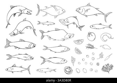 Set di pesci di mare di varietà sardine, illustrazione vettoriale monocromatica dell'acciuga disegnata a mano. Aringhe, passera, sgombro disegno bianco e nero. Pesci ed erbe Illustrazione Vettoriale
