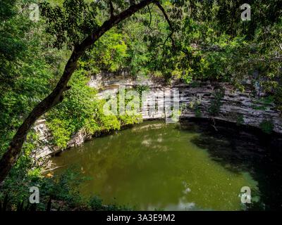 Il Cenote Sacro, Chichen Itza, Stato dello Yucatan, Messico Foto Stock