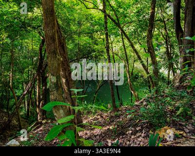 Cenote Xtoloc, Chichen Itza, Stato dello Yucatan, Messico Foto Stock