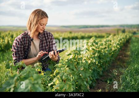 Controllo di qualità, con tablet digitale. La giovane donna è sul bellissimo campo agricolo di giorno. Foto Stock