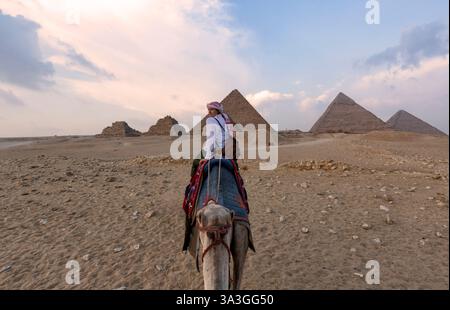 Cammelli nel complesso della piramide di Giza - Una donna in un turbante rosso che cavalca un cammello attraverso le sottili dune di sabbia - il Cairo, Egitto Foto Stock
