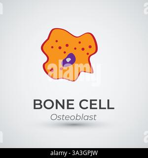 Illustrazione vettoriale logo Osteoblast di cellule ossee Illustrazione Vettoriale