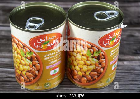 Cairo, Egitto, 5 febbraio 2025: fave del giardino californiano medammi con ceci su ricetta libanese, fibra ad alto contenuto proteico, fave che è il mai Foto Stock