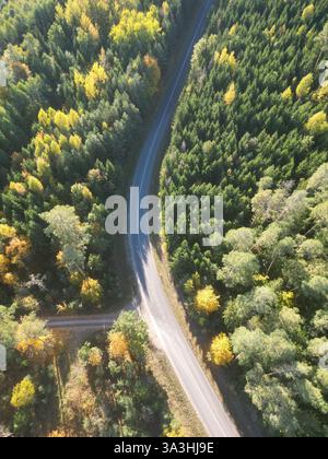 Vista aerea della strada attraverso la lussureggiante foresta verde all'inizio dell'autunno Foto Stock
