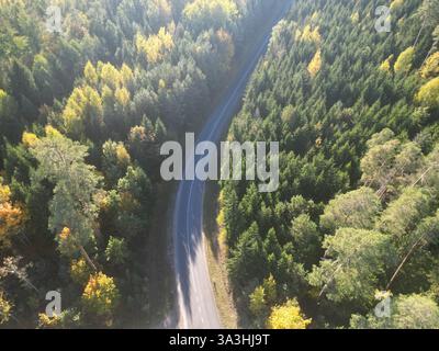 Vista aerea della strada attraverso la lussureggiante foresta verde all'inizio dell'autunno Foto Stock