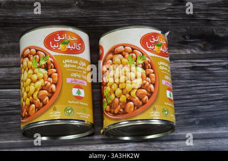 Cairo, Egitto, 5 febbraio 2025: fave del giardino californiano medammi con ceci su ricetta libanese, fibra ad alto contenuto proteico, fave che è il mai Foto Stock