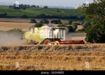 Impressionen: Maehdraescher, Gereideernte (nur fuer redaktionelle Verwendung. Keine Werbung. Referenzdatenbank: http://www.360-berlin.de. © Jens Knapp Foto Stock