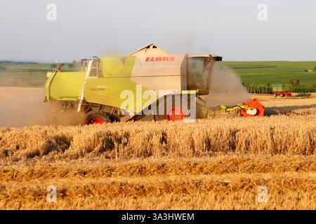 Impressionen: Maehdraescher, Gereideernte (nur fuer redaktionelle Verwendung. Keine Werbung. Referenzdatenbank: http://www.360-berlin.de. © Jens Knapp Foto Stock