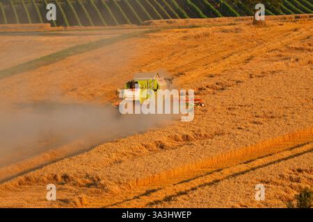 Impressionen: Maehdraescher, Gereideernte (nur fuer redaktionelle Verwendung. Keine Werbung. Referenzdatenbank: http://www.360-berlin.de. © Jens Knapp Foto Stock