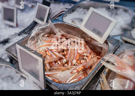 Acciughe fresche che brillano su un letto di ghiaccio in un vivace mercato del pesce, invitando i clienti con il loro aspetto vivace e il loro sapore ricco Foto Stock