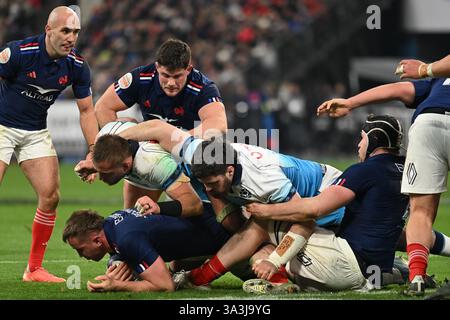 Vittoria dei giocatori del XV francese alla fine della partita tra il XV francese e la Scozia, allo Stade de France, il 14 marzo 2025. - 15/03/2025 - Francia / Senna-Saint-Denis / Saint-Denis - Julien Mattia / le Pictorium Foto Stock