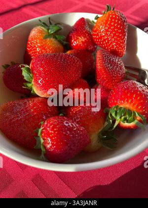 Natura morta di fragole in una ciotola bianca Foto Stock