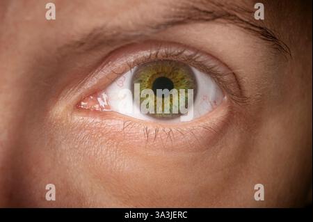 foto macro con diaframma a iride dettagliato e primo piano per riprese in studio con colori naturali Foto Stock
