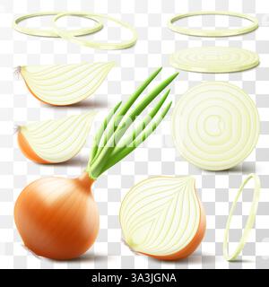 Intero, metà e fette di cipolla fresca. Set di cipolla gialla matura con piuma verde e anelli di cipolla isolati su sfondo trasparente. Cibo sano. N Illustrazione Vettoriale