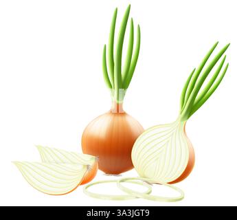 Intero, metà e fette di cipolla fresca. Set di cipolla gialla matura con piuma verde e anelli di cipolla isolati su sfondo bianco. Cibo sano. Naturale Illustrazione Vettoriale
