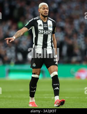 Londra, Regno Unito. 16 marzo 2025. Joelinton of Newcastle United durante la finale della Carabao Cup Liverpool vs Newcastle United al Wembley Stadium, Londra, Regno Unito, 16 marzo 2025 (foto di Alfie Cosgrove/News Images) a Londra, Regno Unito il 16/3/2025. (Foto di Alfie Cosgrove/News Images/Sipa USA) credito: SIPA USA/Alamy Live News Foto Stock