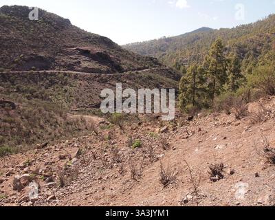 Tejeda (Gran Canaria, Regno di Spagna) Foto Stock