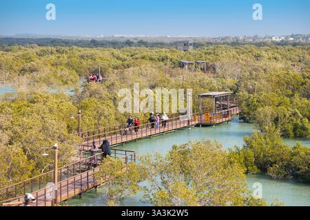 18 gennaio 2025, Abu Dhabi, Emirati Arabi Uniti: I turisti si godono una passeggiata su una passerella di legno nel bellissimo Jubail Mangrove Park, un paradiso di bellezza naturale Foto Stock