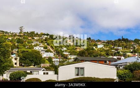 Baldwin Street a Dunedin come la strada più ripida del mondo, la nuova Zelanda Foto Stock
