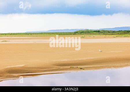 Vista panoramica su una spiaggia di sabbia con un gabbiano Foto Stock