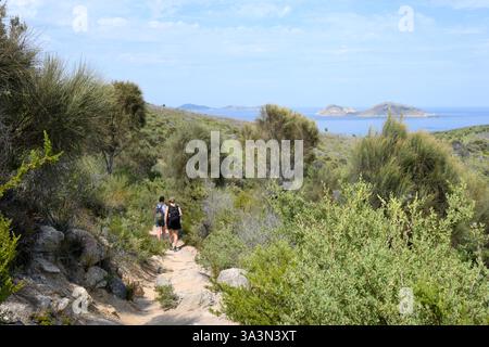 Camminate lungo il sentiero per la baia delle fate circondata da piante autoctone con vista delle isole del promontorio di Wilsons all'orizzonte Foto Stock