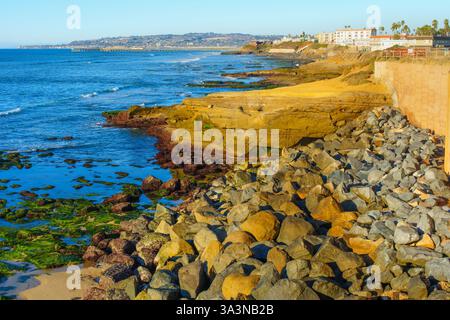 Pittoresca vista della costa rocciosa di San Diego caratterizzata da alghe animate e massi lisci sotto cieli azzurri, catturati durante l'ora d'oro con Foto Stock