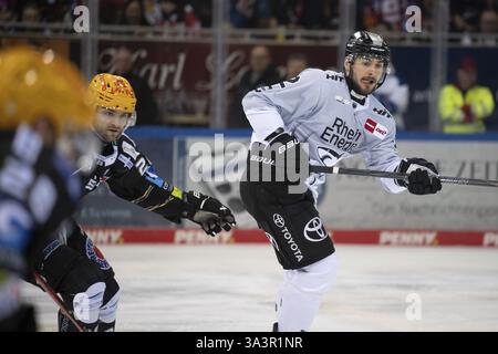 Eisarena Bremerhaven, Bremerhaven, Brema, Maximilian Gloetzl (Koelner Haie, #22), PENNY DEL, Fischtown Pinguins-Koelner Haie on 16.03.2025 presso l'Eis Foto Stock