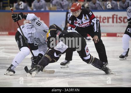 Eisarena Bremerhaven, Bremerhaven, Brema, Gregor Macleod (Koelner Haie, #89), +s18+, PENNY DEL, Fischtown Pinguins-Koelner Haie il 16/03/2025 presso EISA Foto Stock
