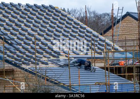 Un conciatetto che lavora su un tetto di una casa di nuova costruzione, Chipping, Preston, Lancashire, Regno Unito Foto Stock