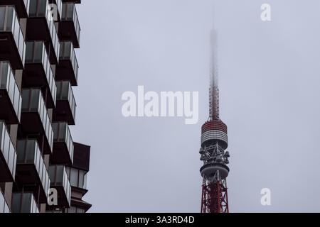 La fitta nebbia avvolge lo skyline di Tokyo ammorbidendo i contorni della Tokyo Tower e degli edifici circostanti creando un'atmosfera urbana moody e minimalista Foto Stock