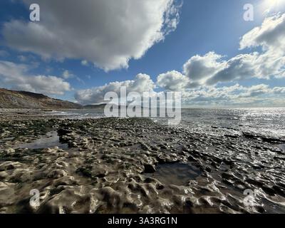 Vista ad angolo basso della roccia fossile lungo la costa giurassica vicino a Lyme Regis. Cielo spettacolare sopra un paesaggio bagnato sottostante. Foto Stock