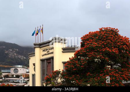 FUNCHAL, MADEIRA - 3 FEBBRAIO 2025: Cartello sul mercato agricolo (Mercado dos Lavradores) nel centro della città Foto Stock