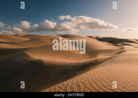 Imperial dune di sabbia, California Foto Stock