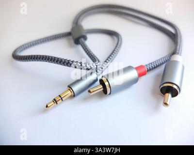 Connettori femmina fono di tipo tulipano, multicolore, primo piano Foto Stock