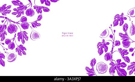 Fichi, polpa di frutta, ramoscello. Bordo vettoriale su sfondo bianco. Illustrazione della natura. Grafica incisa. Prodotto dolce viola naturale Illustrazione Vettoriale