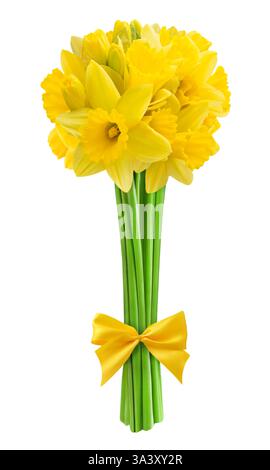 Bouquet di narcisi gialli e nastro isolato su sfondo bianco Foto Stock