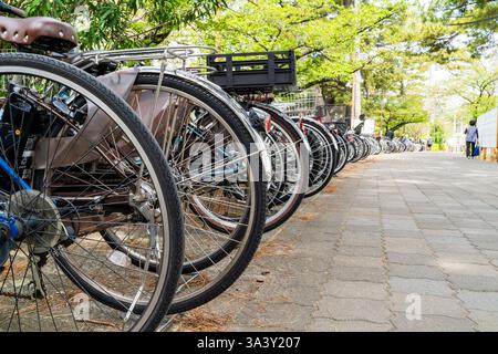 Lunga fila di biciclette parcheggiate in un parco per biciclette vicino a una stazione ferroviaria nella città giapponese di Shukugawa. Biciclette parcheggiate sotto gli alberi sul bordo del marciapiede. Foto Stock