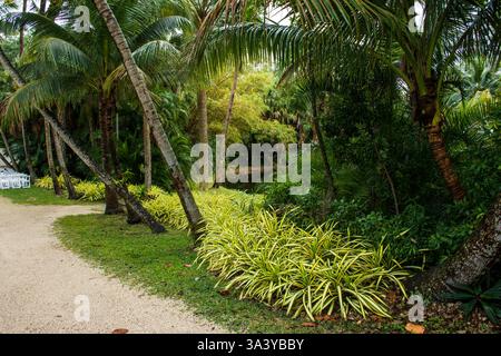 Esplorate i giardini botanici tropicali del Bonnet House Museum and Gardens di ft Lauderdale Foto Stock