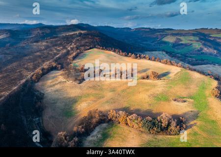 Wildfire devastanti campi e alberi a legarda, navarra, spagna Foto Stock