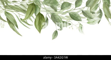 Aggraziati rami di salice ed eucalipto, bordo orizzontale senza cuciture. Illustrazione digitale ad acquerello. Rami di bambù e un olivo su un bac bianco Foto Stock